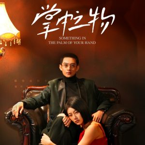掌中之物海报