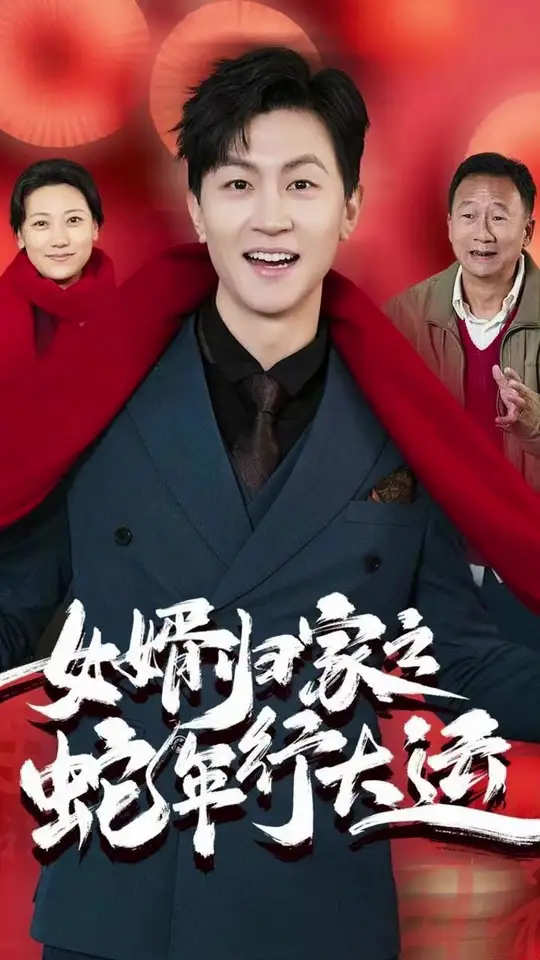 女婿归家之蛇年行大运海报