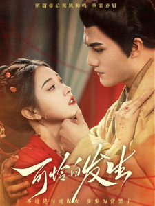 可怜白发生海报