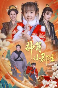 神算小郡主海报