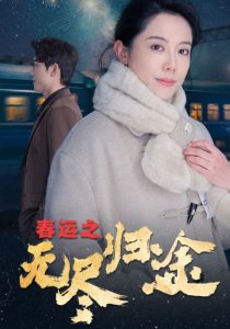 春运之无尽归途海报