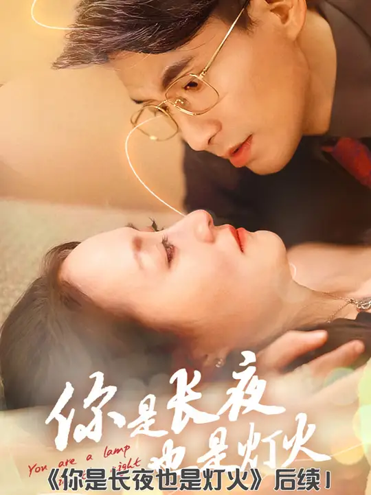 你是长夜也是灯火海报