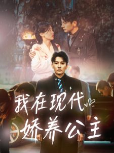 我在现代娇养公主海报