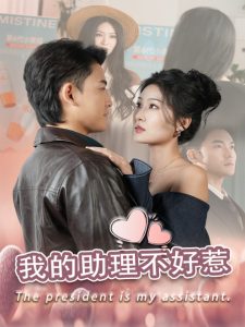 我的助理不好惹海报