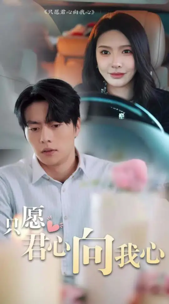 只愿君心向我心海报