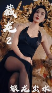 藏龙2银龙出水海报