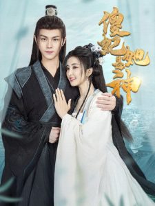 傻妃她是神海报