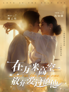 在万米高空放弃爱过的他海报
