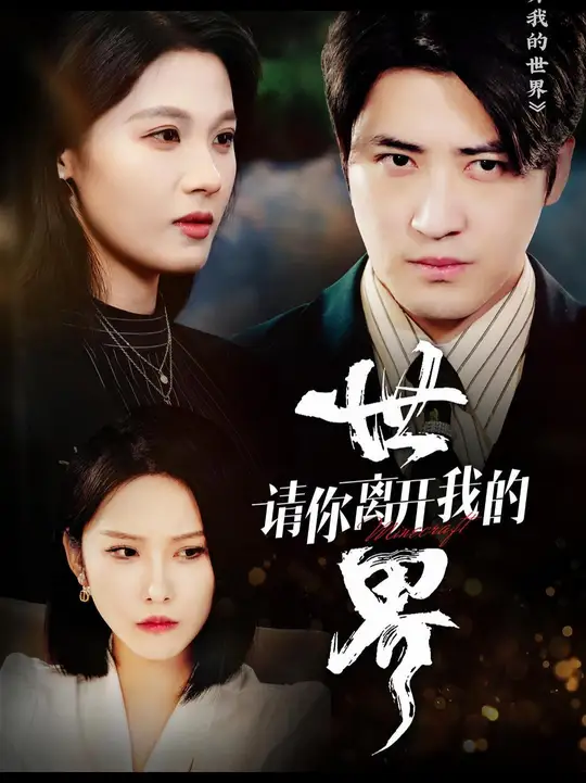 请你离开我的世界海报