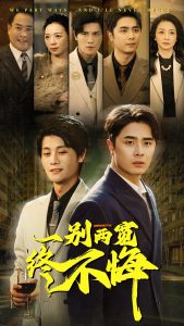 一别两宽终不悔海报