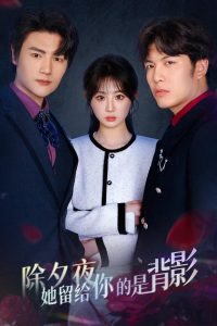 除夕夜她留给你的是背影海报