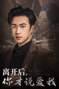 离开后你才说爱我海报