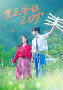 重返爸妈20岁海报