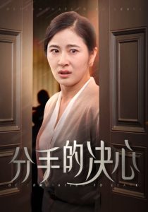 分手的决心短剧海报