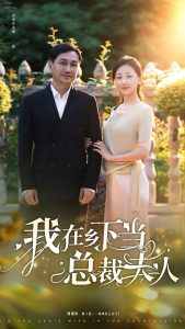 我在乡下当总裁夫人海报