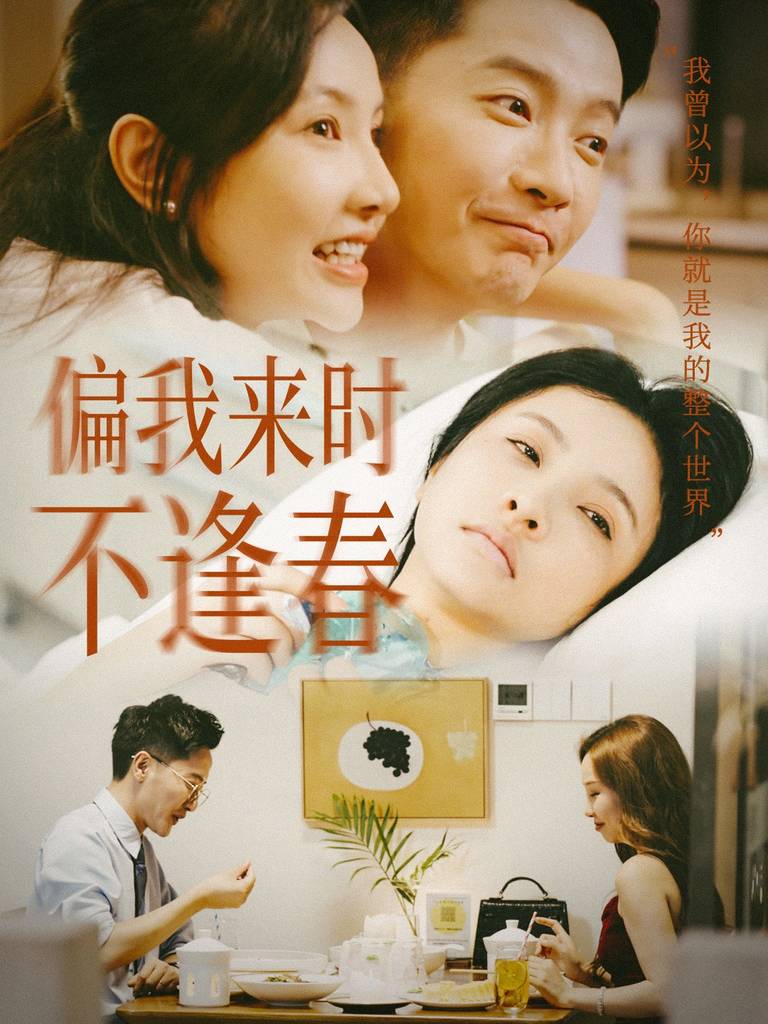 偏我来时不逢海报