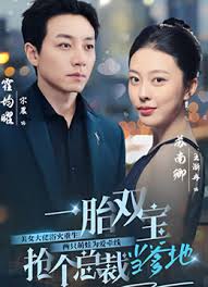 一胎双宝，抢个总裁当爹地海报