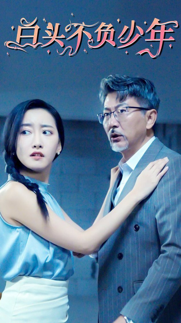 白头不负少年海报