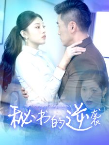 秘书的逆袭海报