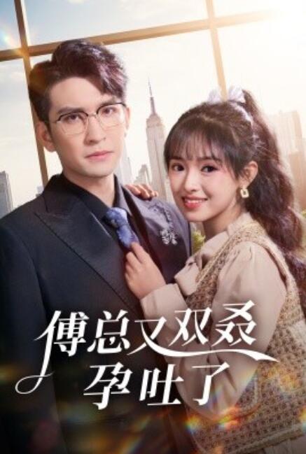 傅总又双叒孕吐了海报