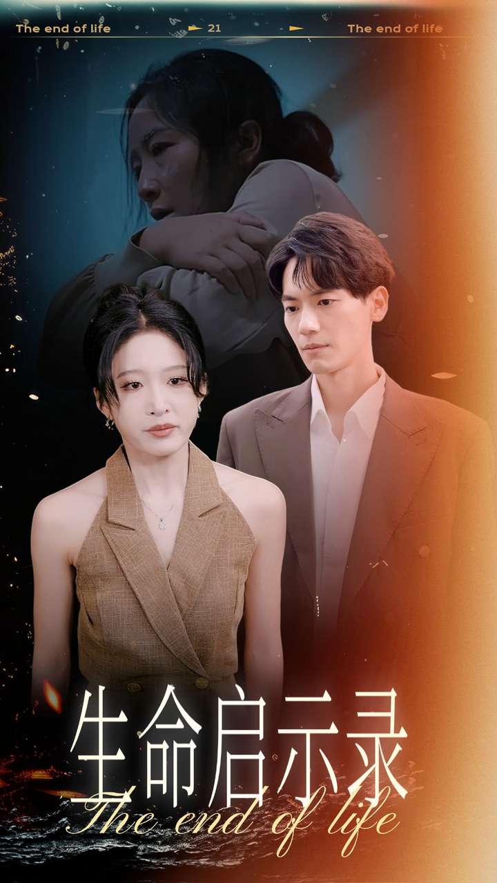 生命启示录海报
