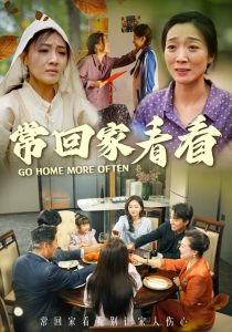 常回家看看短剧海报