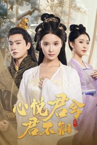 心悦君兮君不知海报