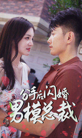 分手后闪婚男模总裁海报