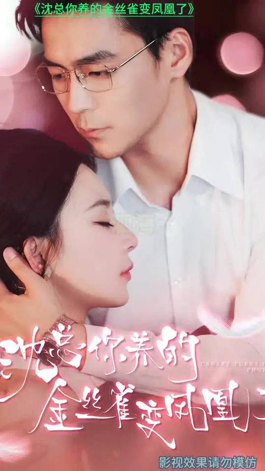 沈总你养的金丝雀变凤凰了海报