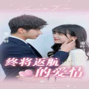 终将返航的爱情海报