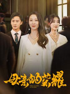 母亲的荣耀海报