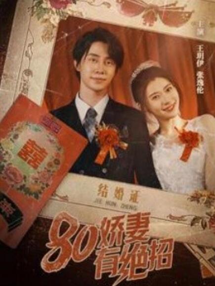 八零娇妻有绝招&80娇妻有绝招海报