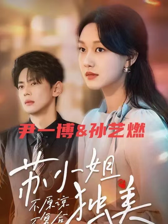 不原谅不复合苏小姐独美海报