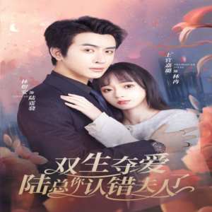 双生夺爱陆总你认错夫人了海报