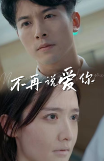 不再说爱你短剧海报