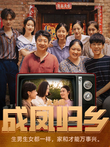 女总裁成凤归乡海报