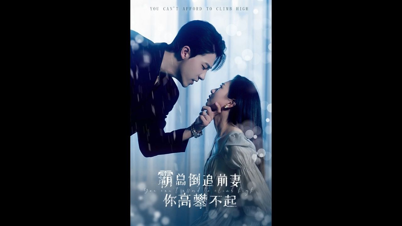 霸总倒追前妻你高攀不起海报