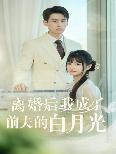 离婚后我成了前夫的白月光海报