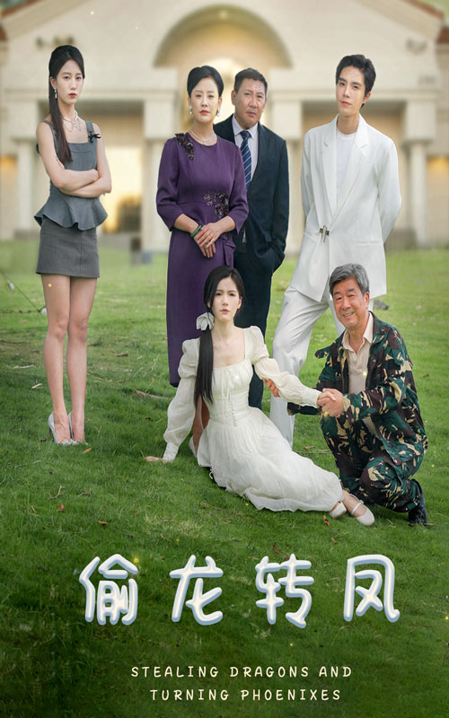 偷龙转凤短剧版海报