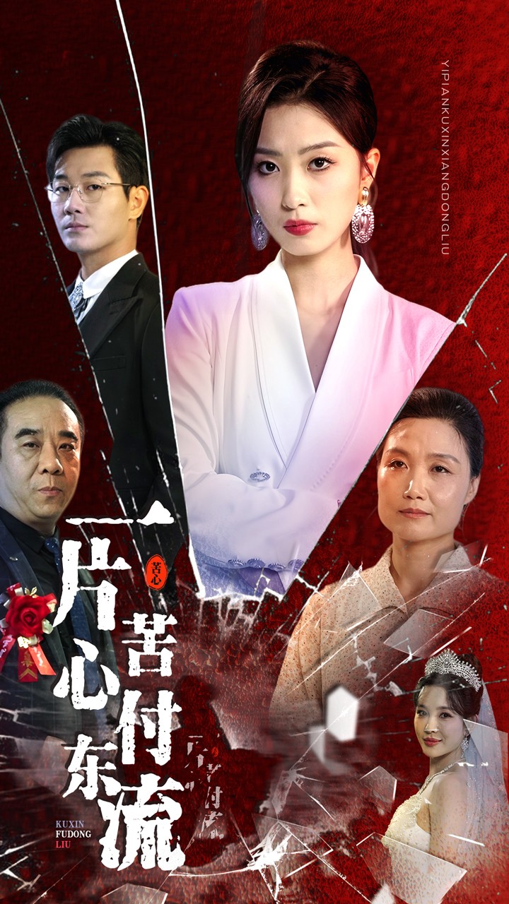 一片苦心付东流$女儿的荣耀海报