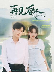 再见爱人81集海报