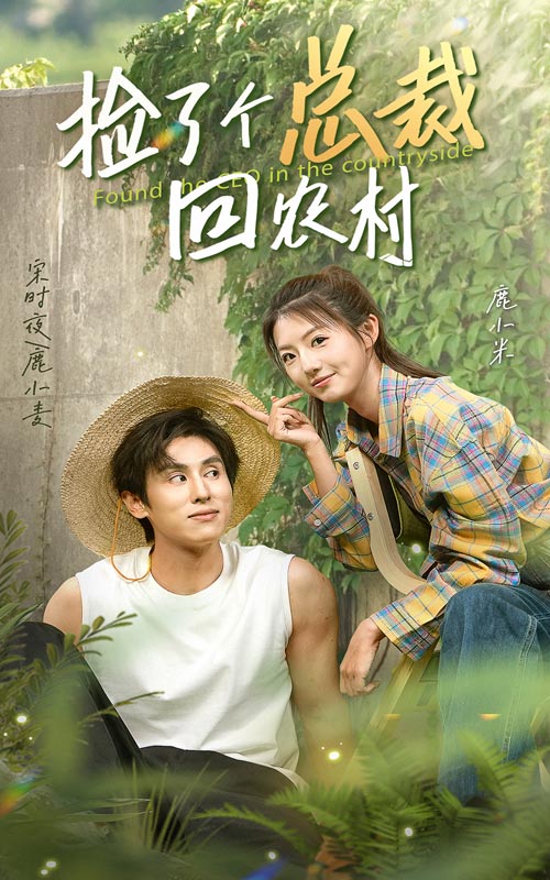 捡了个总裁回农村海报