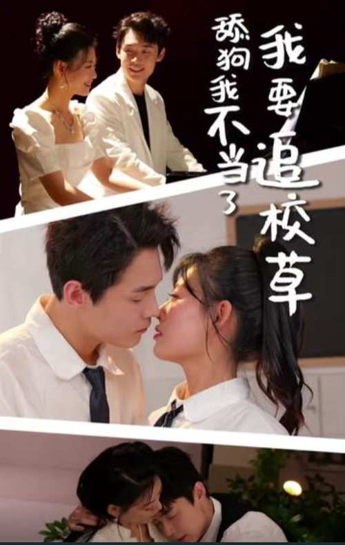 舔狗我不当了我要追校草海报