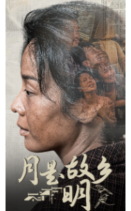 月是故乡明42集海报