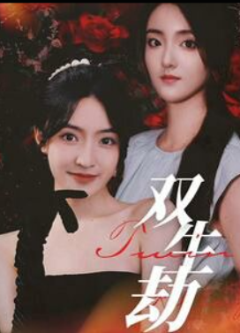 双生劫短剧海报