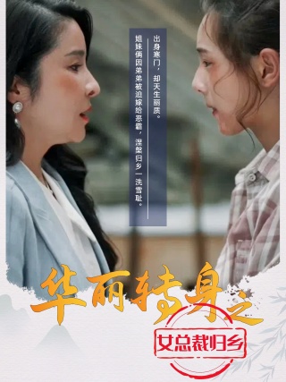 华丽转身之女总裁归乡海报