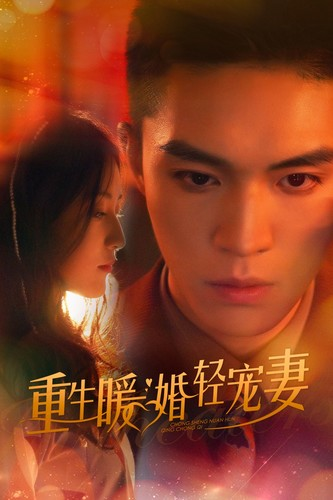 重生暖婚轻宠妻短剧版海报