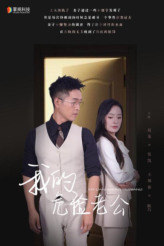 我的危险老公海报