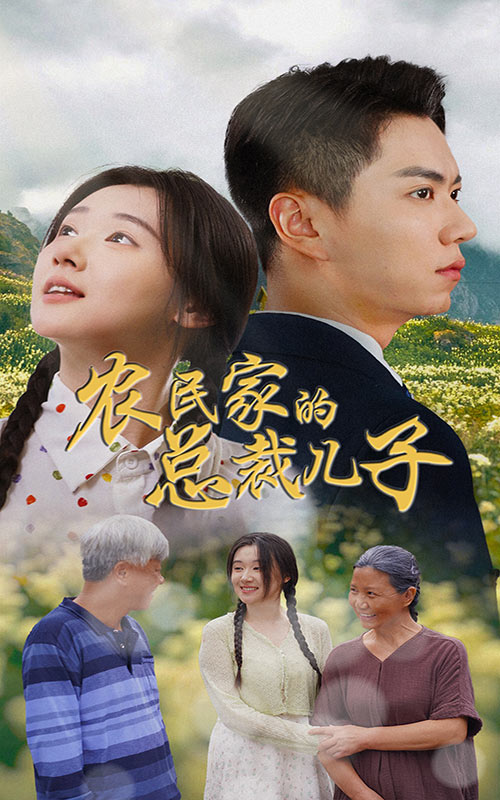农民家的总裁儿子&富锦还乡海报