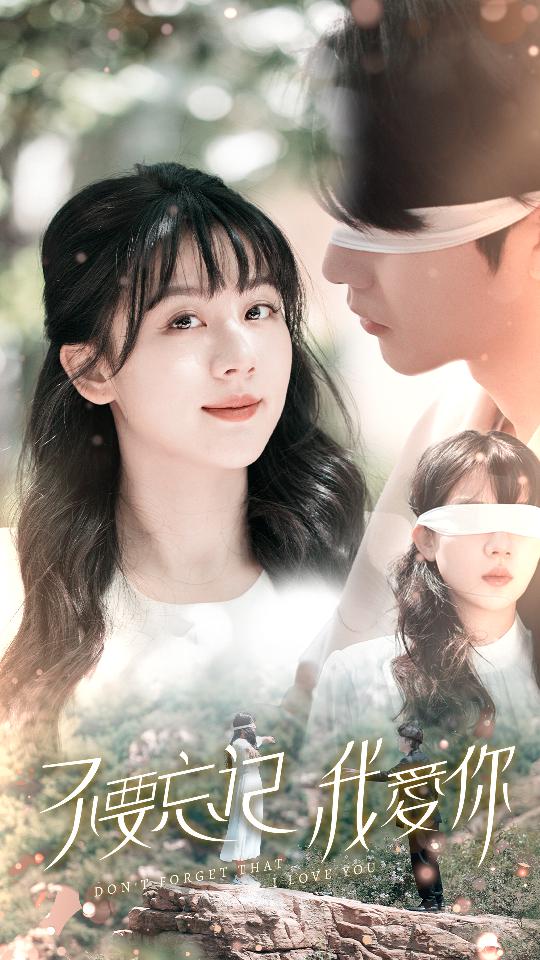 不要忘记我爱你短剧海报